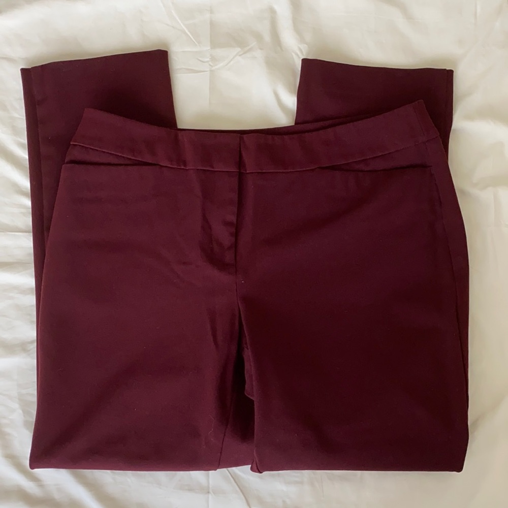 Petite business or business casual pants - wine color 10P